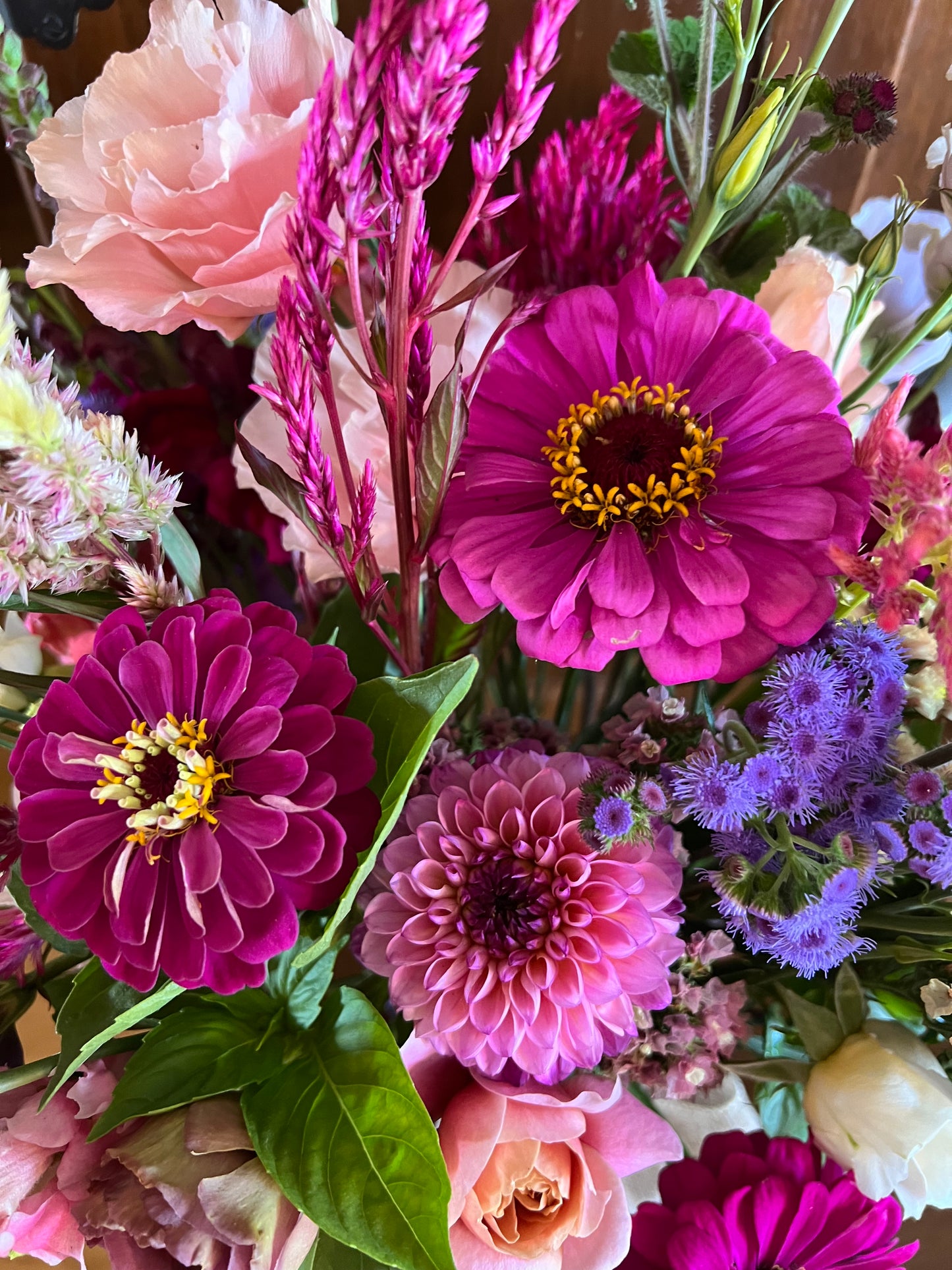 May-October Subscription