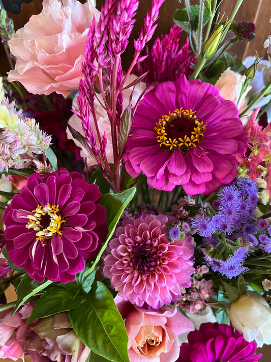 May-October Subscription